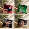 Jay Ppark Singer Pillow Case Pillowcase Doublesided Printed Sofa Cushion Bedroom Headboard Pillow