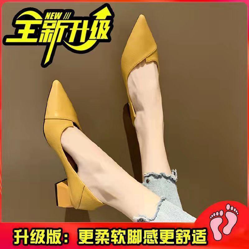 Retro Pointed Thick Heel High Heels Summer Niche Solid Color Non-slip Single Shoes Outer Wear Heightening Shoes