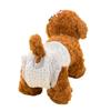 10/12PCS/pack Super Absorption Physiological Pants Dog Diapers For Dogs Pet Female Dog Disposable Leakproof Nappies Puppy