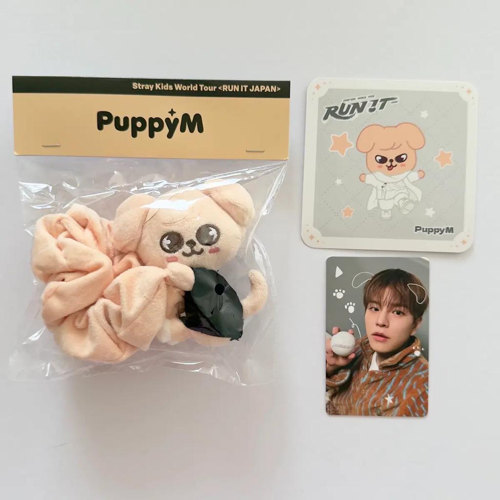 STRAY KIDS Seungmin SKZOO PUPFIM RUN IT Japan SKZ RUN IT Japan