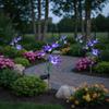 Waterproof Solar Garden Lights Colorful Gradient Solar Garden Decor  Outdoor Garden