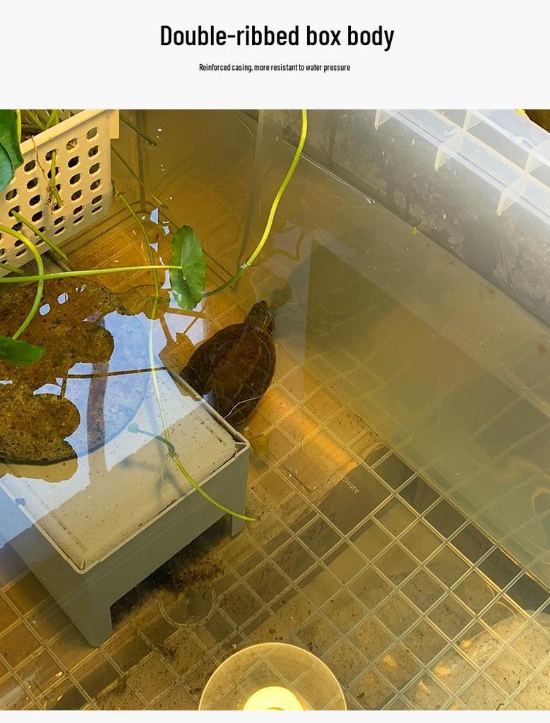 Turtle Tank with Drainage Hole - Transparent Breeding & Storage Box, Small/Large Size for Home Use