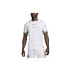 Nike Nigeria 2024 Stadium Home Men's Nike Dri FIT Soccer Replica Jersey FQ8837-100