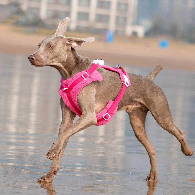 Adjustable Pet Leash Vest Style Dog Chest Harness Large Dog Chest and Back With Traction Rope Set For Large Dog Outdoor Supplies