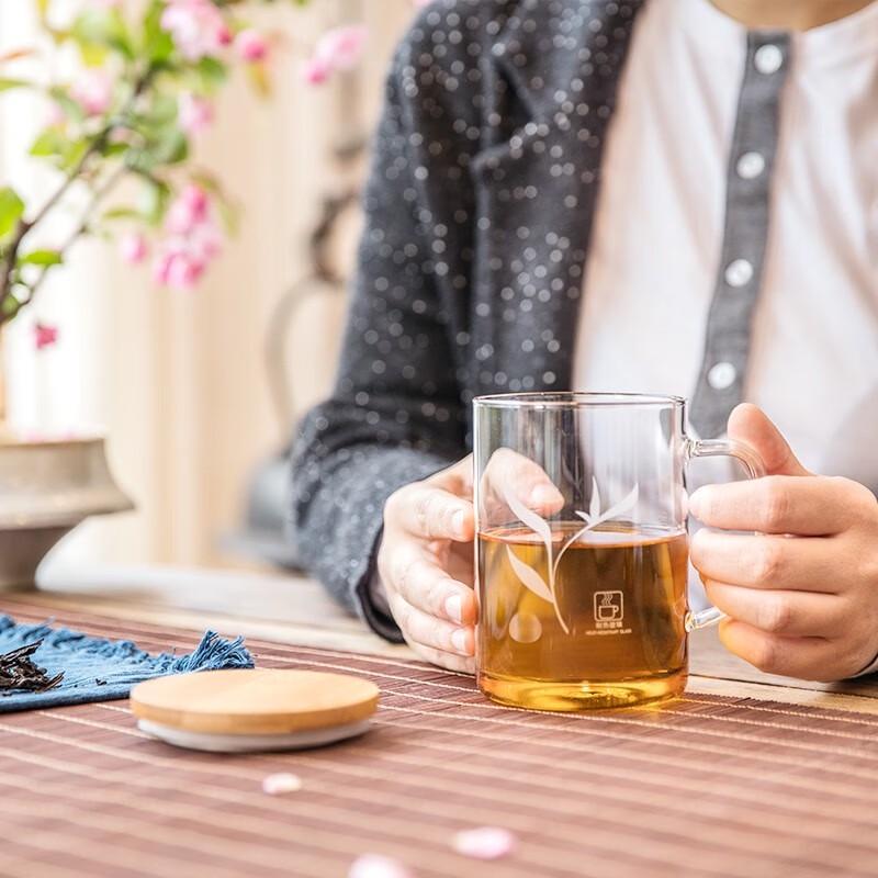 Sohome 500ml Heat-Resistant Glass Mug with Bamboo Lid