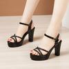 10cm Small Elegant Mesh Leather Platform Shoes Summer Block High Heels Sandals Women for Office Model Party Mom