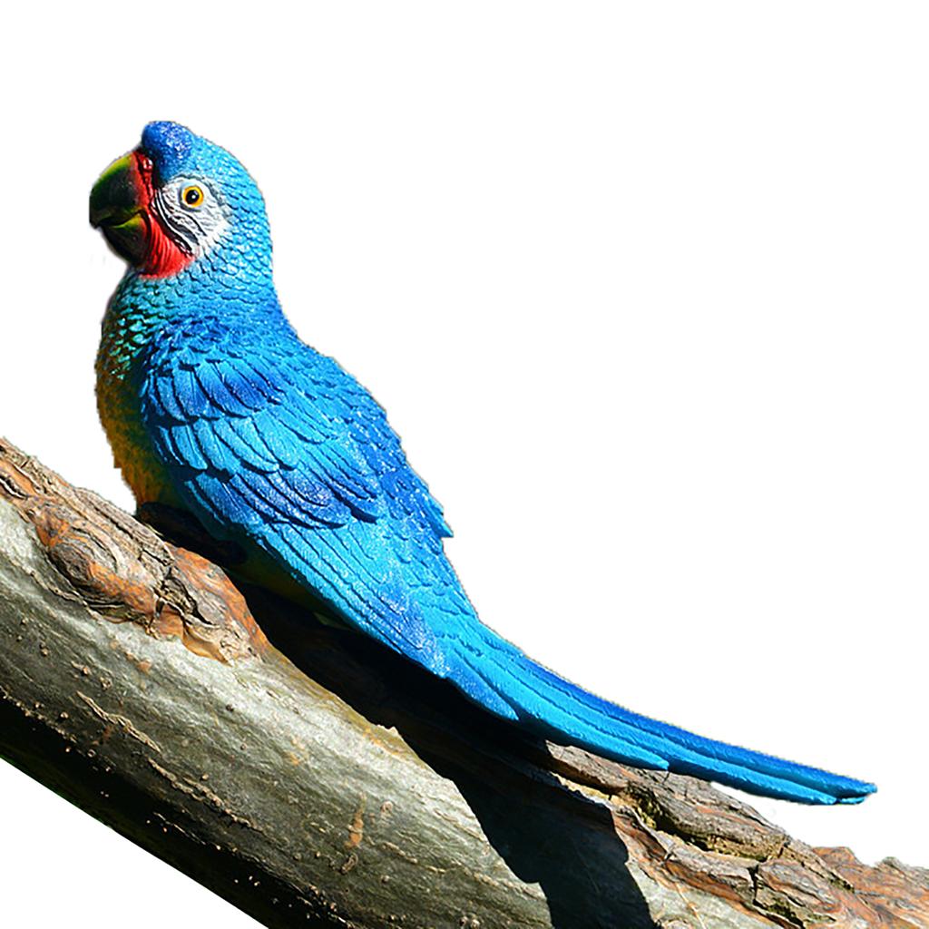 bird heater petsmart