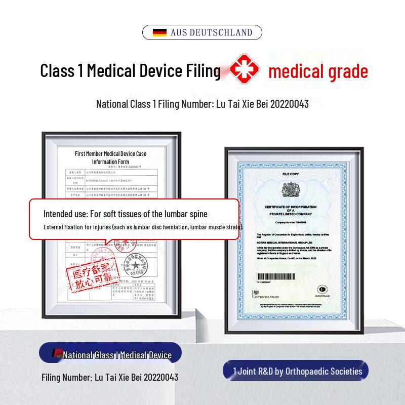 Lizi Lumbar Support Belt