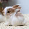 Simulation Plush Rabbit Toy Cute Mini Bunny Cute Car Accessories for Girls Car Decoration Automoblie Ornament Anime Car Decor