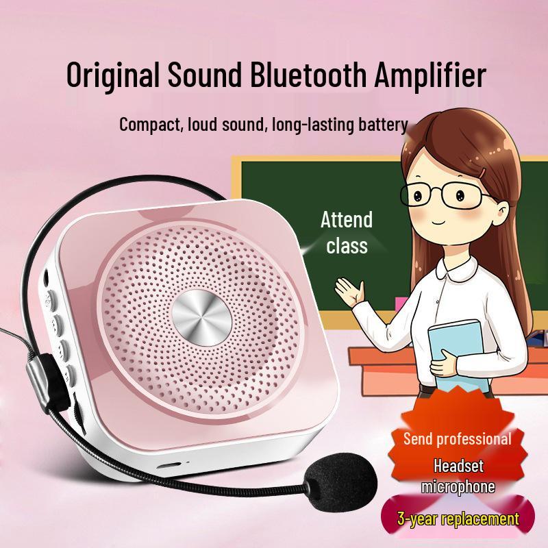 Little Bee Portable High-Volume Megaphone: Teacher's Special for Street Promotions