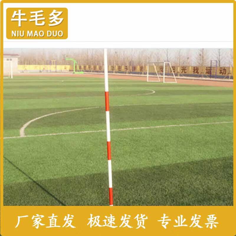 Sports Training Slalom & Marking Poles