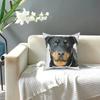 Cute Realistic Rottweiler Dog Square Pillow Case Polyester Cushions for Sofa Funny Cushion Covers
