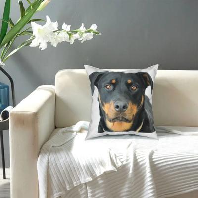 Carino Realistico Rottweiler Cane Federa Quadrata Cuscini in Poliestere per Divano Copricuscini Divertenti