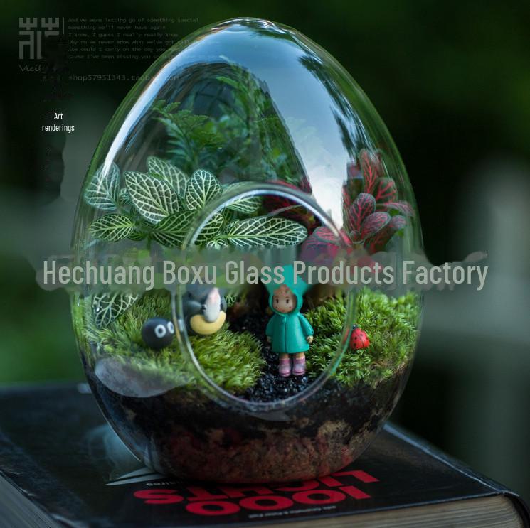 Egg-Shaped Glass Vase for Succulent and Moss Landscaping