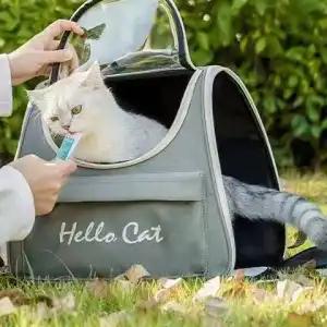 Large capacity collapsible pet backpack with zip closure, handle and mesh vent, perfect for cats and small dogs traveling