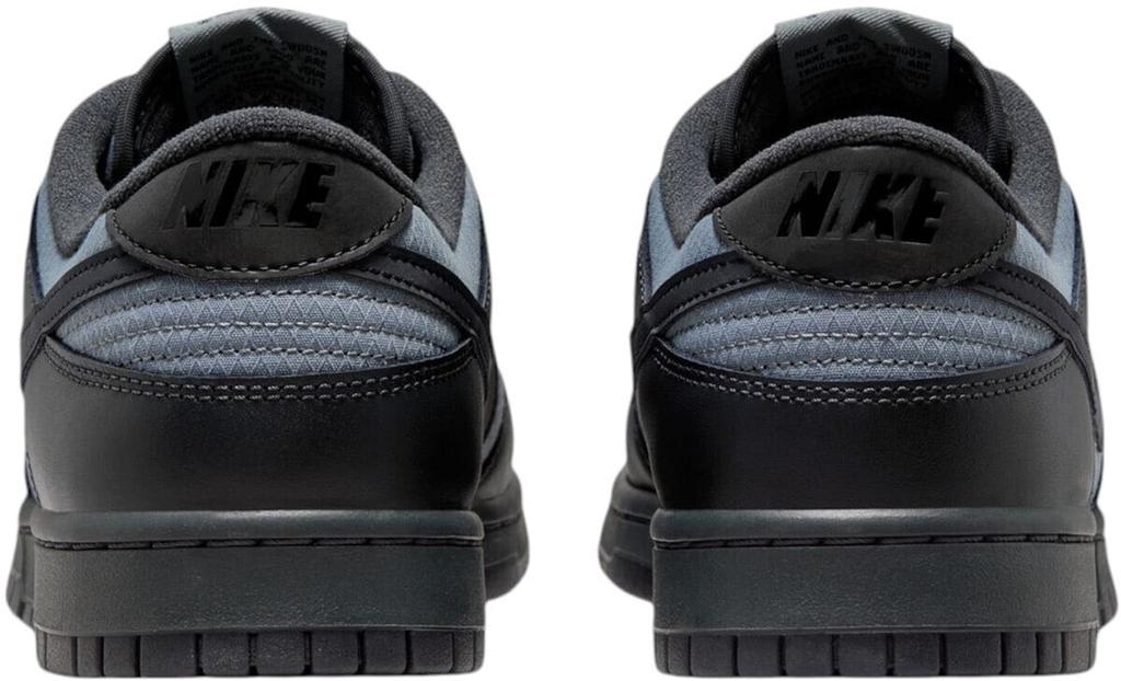 Nike Dunk Low Retro SE Sneakers (FZ3052-001) Off Noir/smoke Grey/anthracite/black
