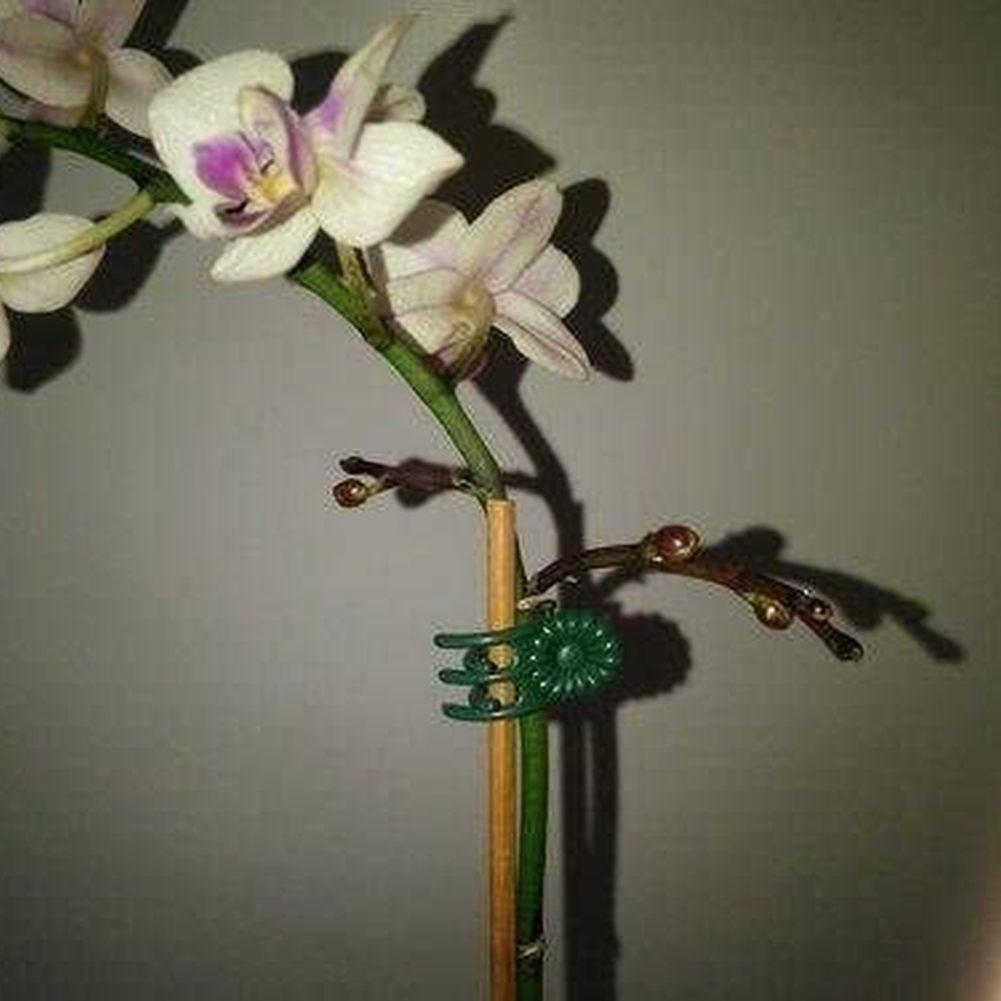 Flower Support Clamp Orchid Clips Climbing Vine Stem Clasp
