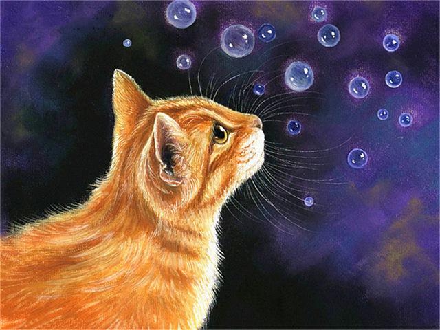 Pictură cu diamante 5d, nou sosiri, pisică drăguță, broderie cu diamante lucrată manual, mozaic de animale, cadou complet rotund/pătrat, decor acasă