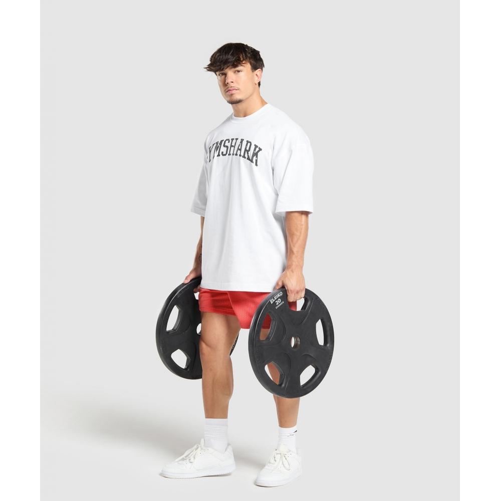 Gymshark Pantaloni scurți Lifting Mesh 5, roz tropical, A1b1j Kb69