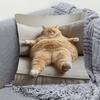 1pc 18x18 Inch Super Soft Short Plush Double-Sided Throw Pillow - Adorable Ginger Cat Lounging on Sofa Design