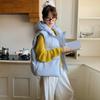 Down Cotton Vest Women's Short Hooded Winter New Loose Small Vest Vest Jacket
