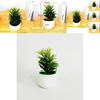 Fake Succulent Plant Pot With Pvc Material For Home Decor And Office Display
