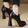 2025 New Color Matching Single Shoes Women's Autumn and Winter Pointed High Heels Thick Heel Trend Design Sense Lace-up Small Leather Shoes Women