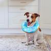 Pet Elizabeth Halsband Anti-Bite Donuts Halsband Katt Hund Grooming Huvudbonader Pet Halsband