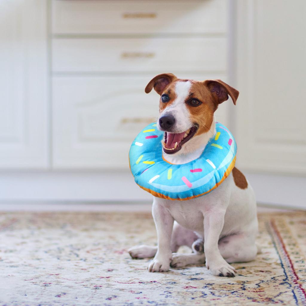 Pet Elizabeth Halsband Anti-Bite Donuts Halsband Katt Hund Grooming Huvudbonader Pet Halsband
