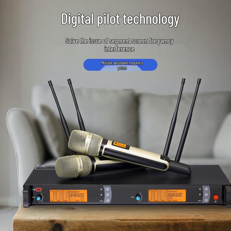 Ruijie SKM9000 Dual-Channel Wireless Microphone System
