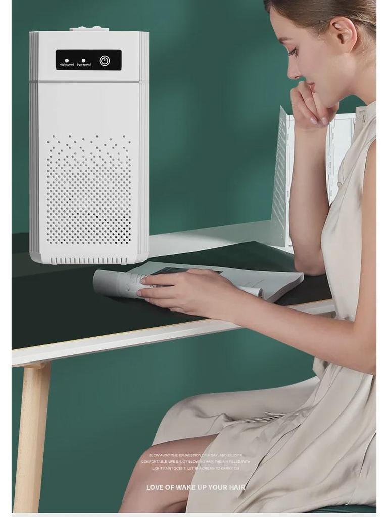 Mini Skrivebordsluftrenser med Negativ Ionteknologi for Hjem og Kontor, Fjerner Formaldehyd