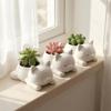 3D Printed Cat Flower Pot Cute Ornaments Mini Plant Pot Multi-Functional Decoration Animal Shaped Desktop Planter Kitchen Use