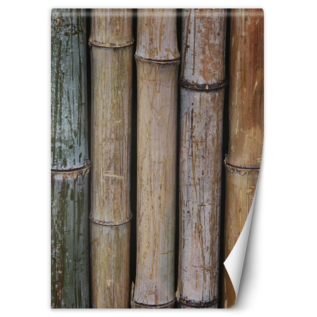 Wallpaper Bamboo Wall Texture Background