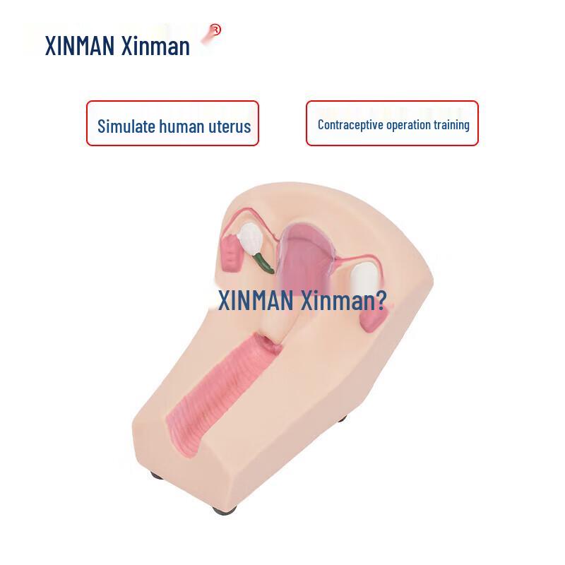 XINMAN Reproductive Health Training Models