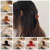 Mini Small Shark Clip Korean Style Acetic Acid Side Clip Cute Acetic Acid Hair Claw  School