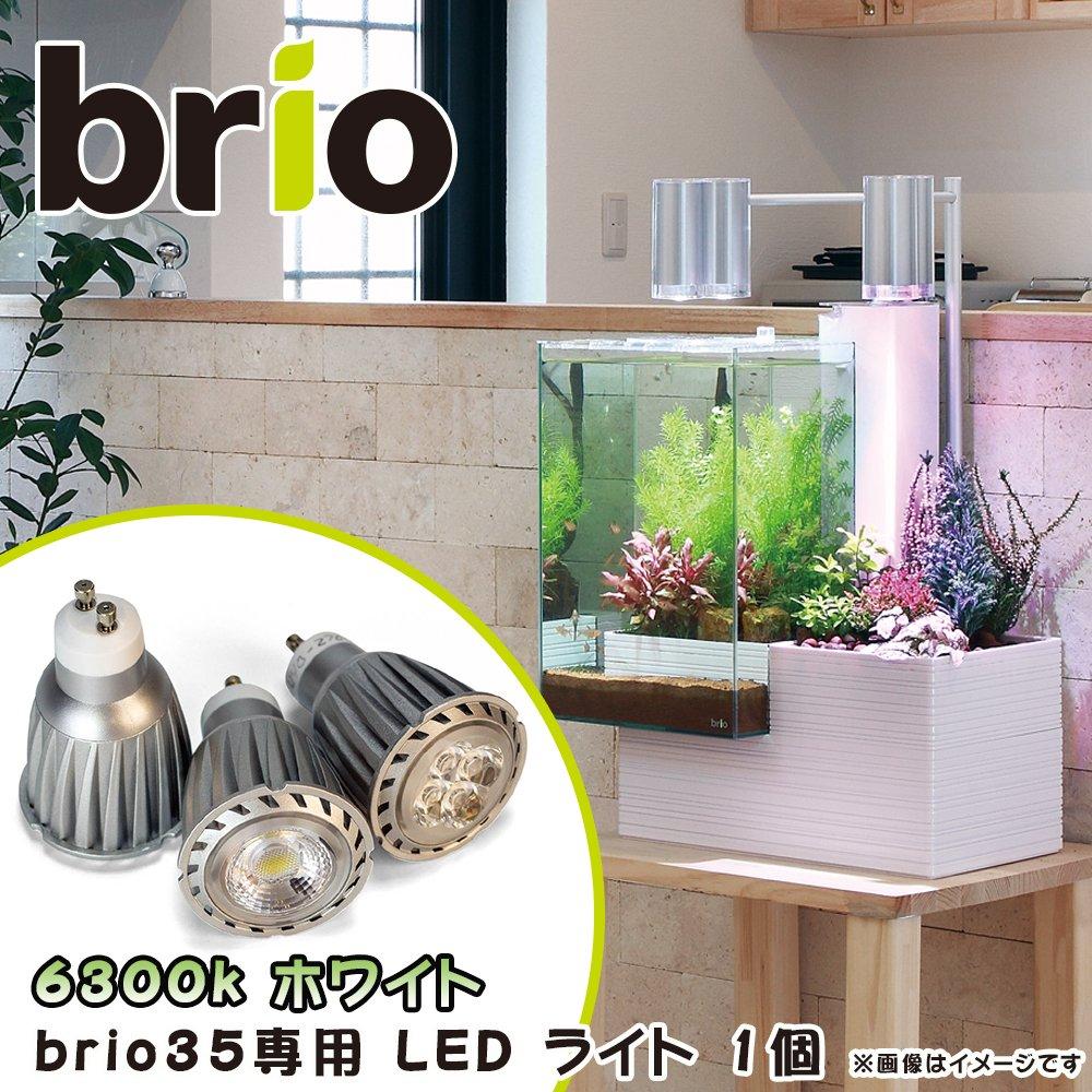 Brio 35 LED Bulb Light, 6300k White