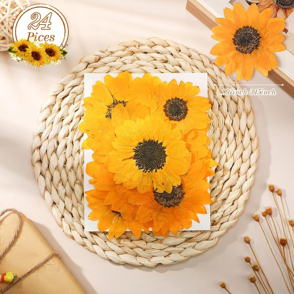 Roowest 24 Pcs Dried Pressed Flowers for Resin Fall Dried Sunflowers Dried Sunflower Petals for Jewelry Candle Soap Making DIY Art Craft Scrapbooking