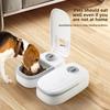 Dog Feeder Cat Automatic Feeding Water Bowl with Timer Pet Food Storage Dispenser Container Pets Puppy Kitten Accessories
