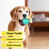Köpek Malzemeleri, Ses Çıkaran İnteraktif Oyuncak Toplar, Eğlence İçin Yavru Köpek Oyuncakları.