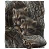 JQ Licensing Silky Raccoon Supersoft Blanket