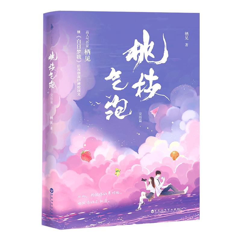 Popular Chinese Youth Romance Novels Collection