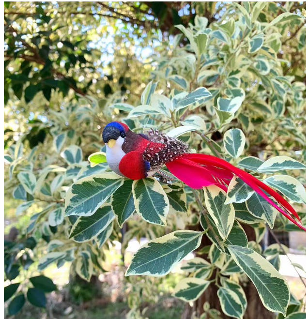 Feather Bird Ornament Lifelike Figurine for Home Decor Shelf or Table Display