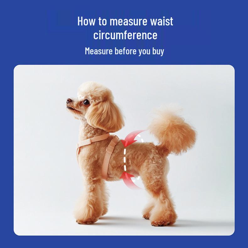 Male Dog Comfort Diapers – Physiological Pet Hygiene Pants with Waistband