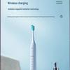 Panasonic EW-DC01 Sonic Electric Toothbrush CN plug (adapter included)