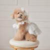 Soft Pet Summer Clothes Lace Cat Flying Sleeve Skirt Pet Supplies Pet Princess Dress  Summer