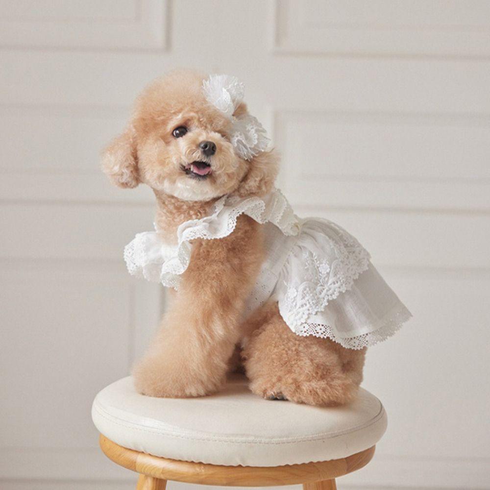 Soft Pet Summer Clothes Lace Cat Flying Sleeve Skirt Pet Supplies Pet Princess Dress  Summer