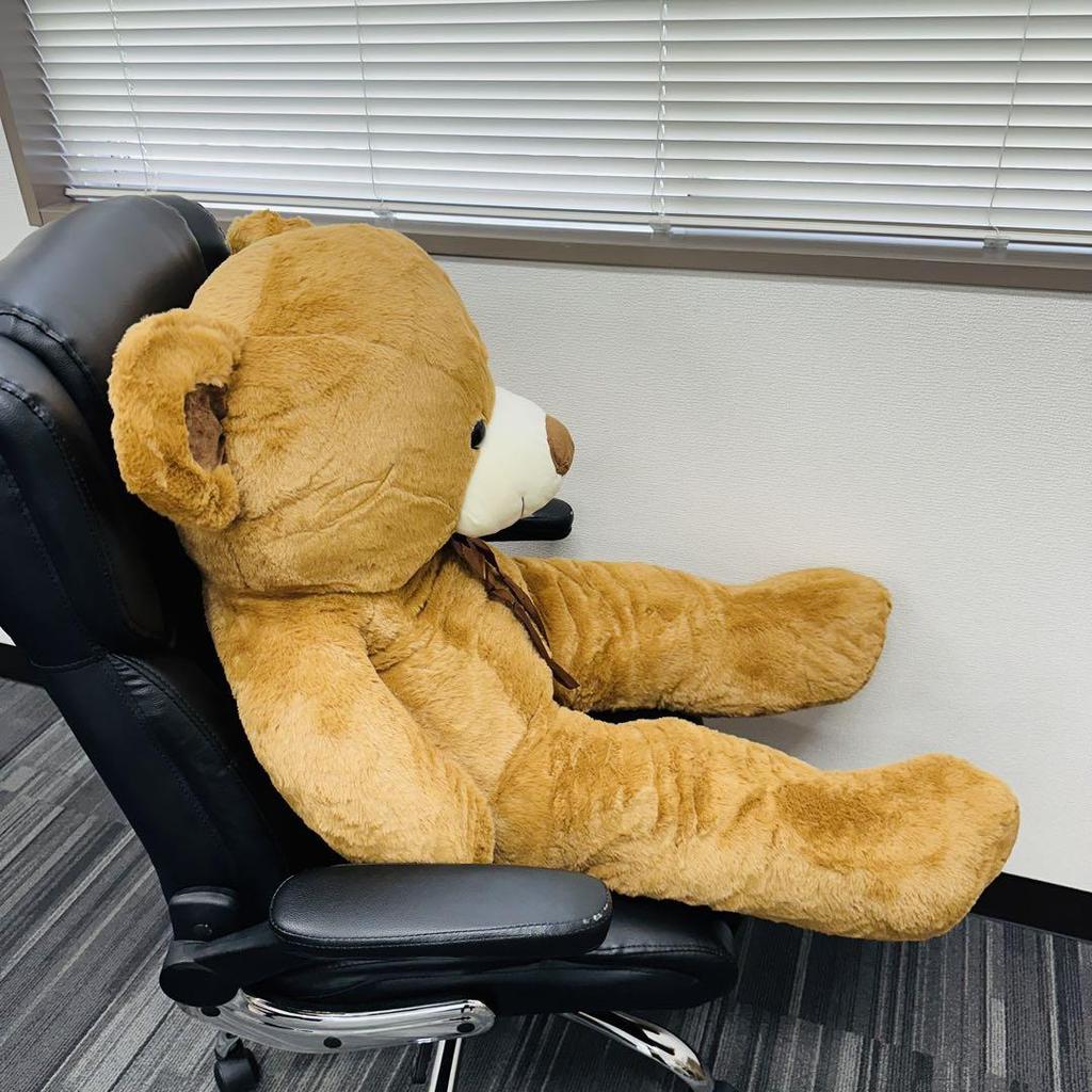 [USED] Teddy Bear Plush Toy Fluffy Bear Women's Kids Gift