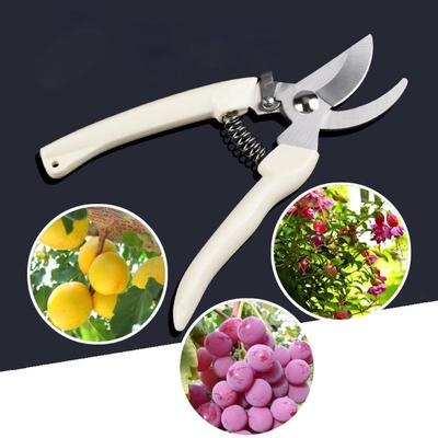 Grafting Tool Gardening Pruning Shear Scissor Stainless Steel