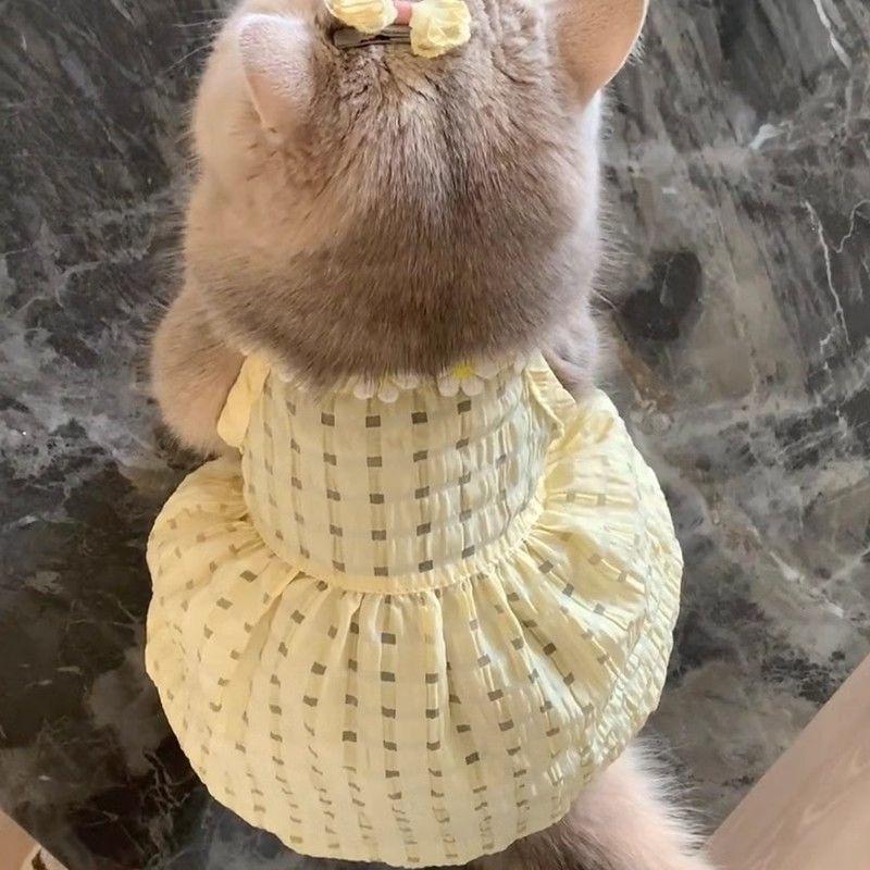 Cat Summer Clothes Small Skirt Anti-hair Loss Cute Gold Gradient British Short Summer Suspender Skirt