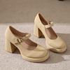 8CM Mary Jane shoes high heels fairy temperament fairy style 2025 new spring commuting thick heel French evening style single shoes